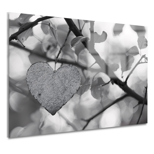 Hart van natuur in monochrome tinten acrylglas