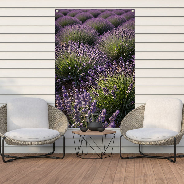 Prachtig lavendelveld bij zonsondergang tuinposter
