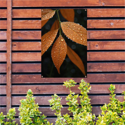 Dauwdruppels op Oranje Zomerbladeren tuinposter