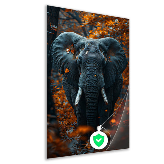 Olifant in Herfstlandschap poster