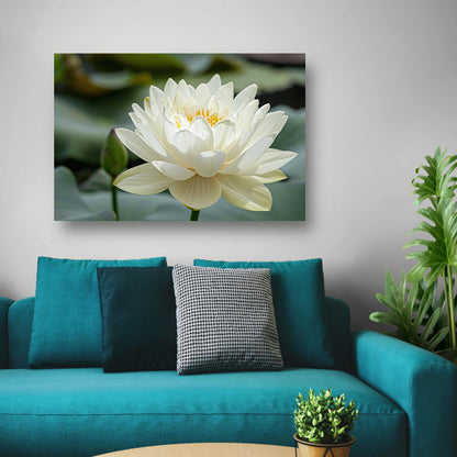 Close-up van een serene witte lotus  canvas