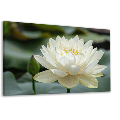 Close-up van een serene witte lotus  canvas