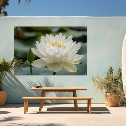 Close-up van een serene witte lotus   tuinposter