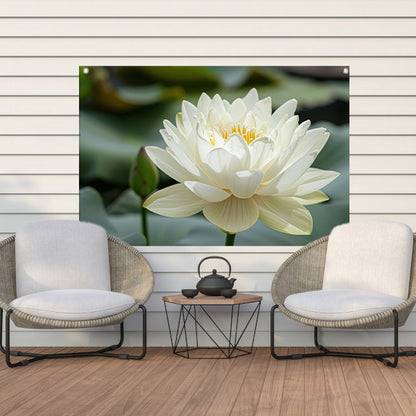 Close-up van een serene witte lotus   tuinposter