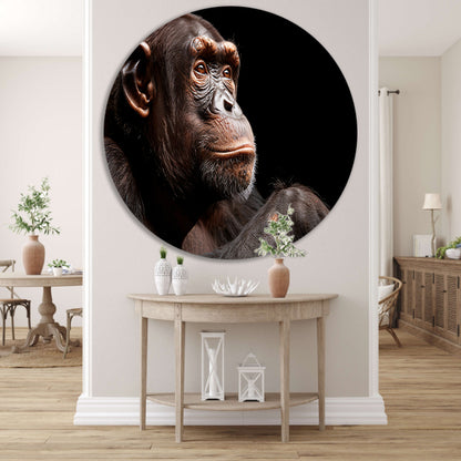 Gedetailleerd portret van een chimpansee aluminium muurcirkel