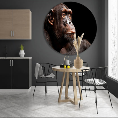 Gedetailleerd portret van een chimpansee aluminium muurcirkel