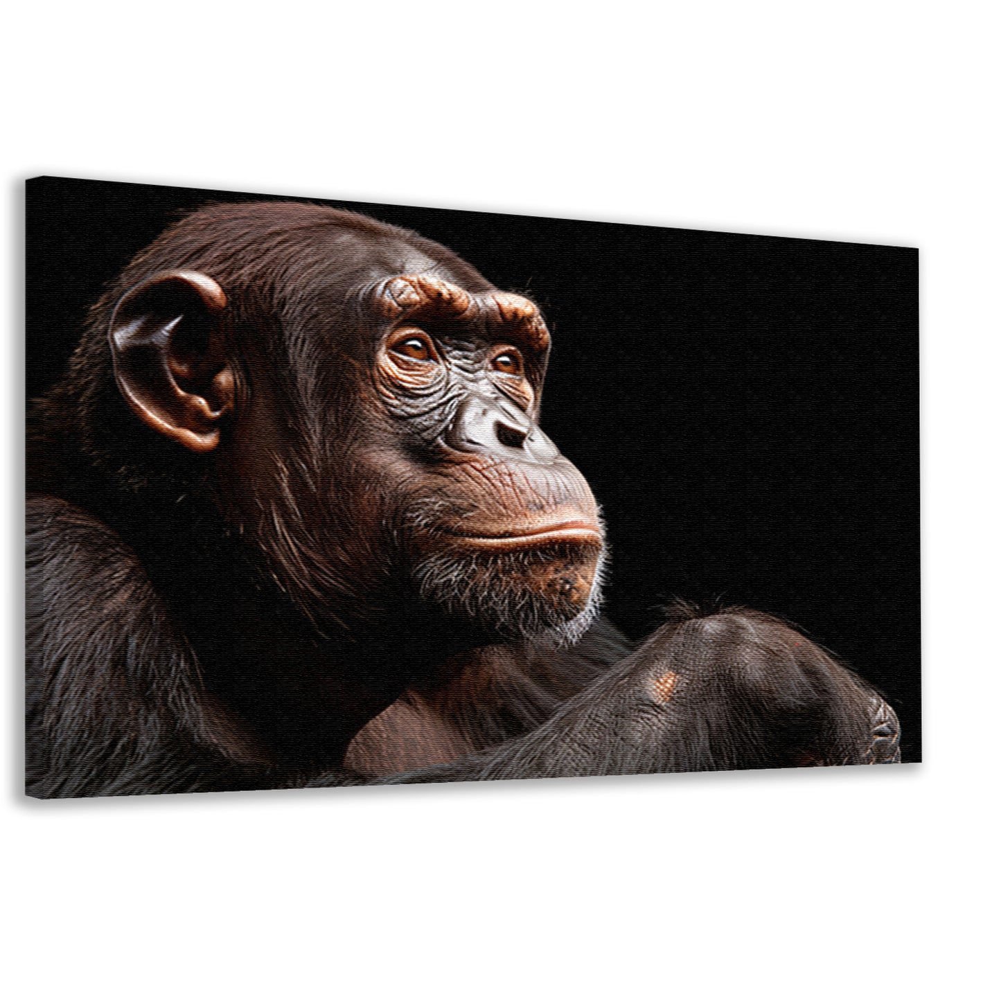 Gedetailleerd portret van een chimpansee canvas