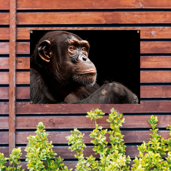 Gedetailleerd portret van een chimpansee tuinposter