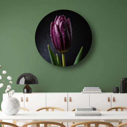 Paarse Tulp in Ochtenddauw Close-up aluminium muurcirkel