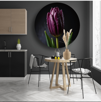 Paarse Tulp in Ochtenddauw Close-up forex muurcirkel