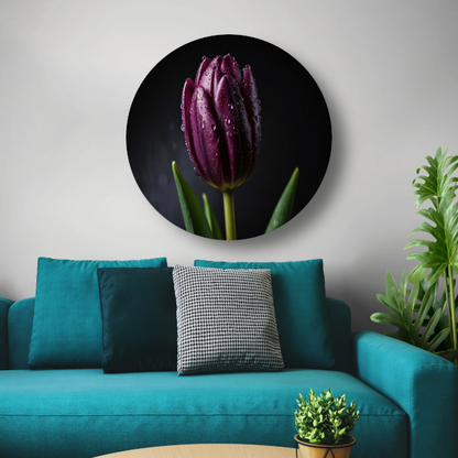 Paarse Tulp in Ochtenddauw Close-up aluminium muurcirkel