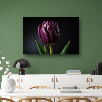Paarse Tulp in Ochtenddauw Close-up poster