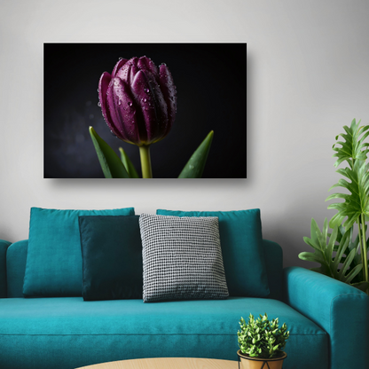 Paarse Tulp in Ochtenddauw Close-up poster
