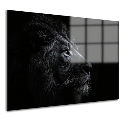 Koninklijke leeuw in zwart-wit portret acrylglas