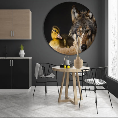 Wolf en eendling: onwaarschijnlijke ontmoeting aluminium muurcirkel