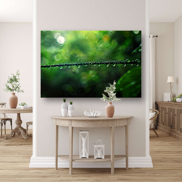 Dauw druppels op tak in groene natuur canvas