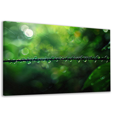 Dauw druppels op tak in groene natuur canvas