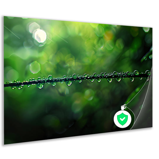 Dauw druppels op tak in groene natuurposter