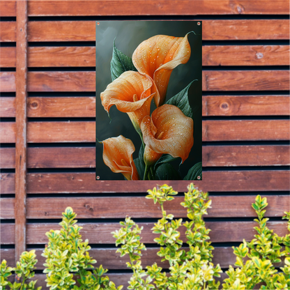 Oranje calla lelies met dauw tegen donkere achtergrond tuinposter
