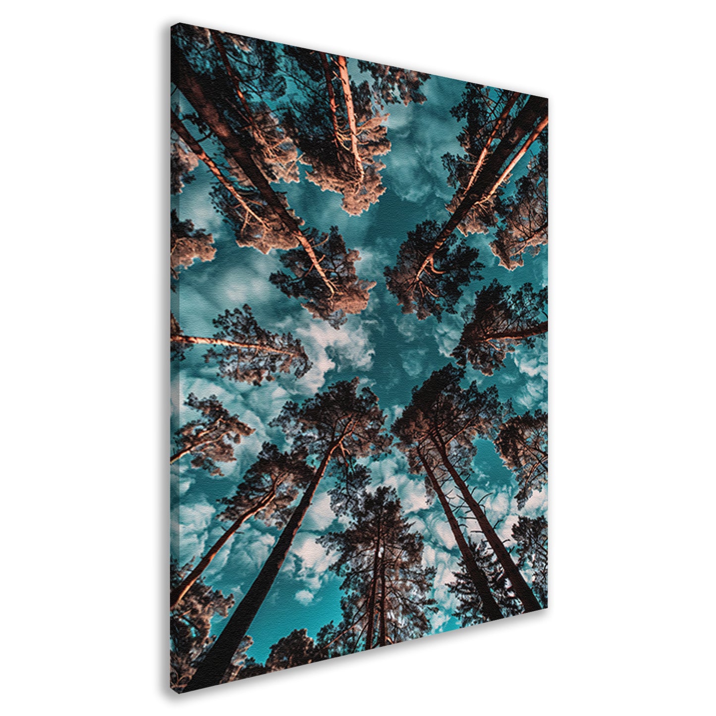 Hyperrealistische foto van bomen en lucht canvas