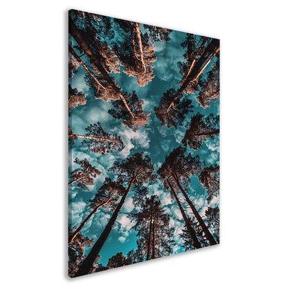 Hyperrealistische foto van bomen en lucht canvas