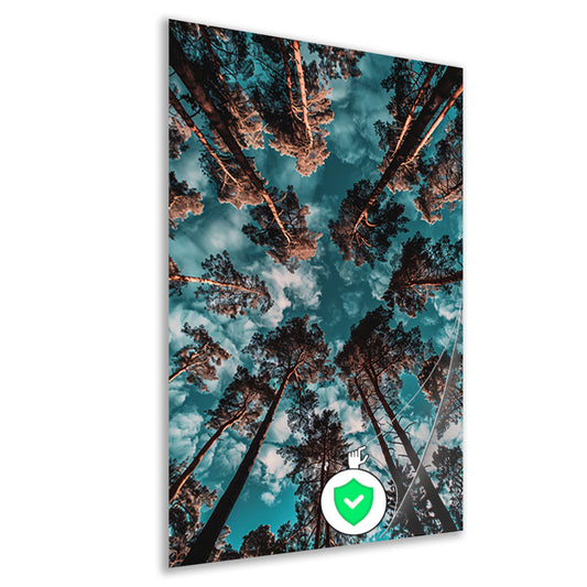 Hyperrealistische foto van bomen en lucht poster
