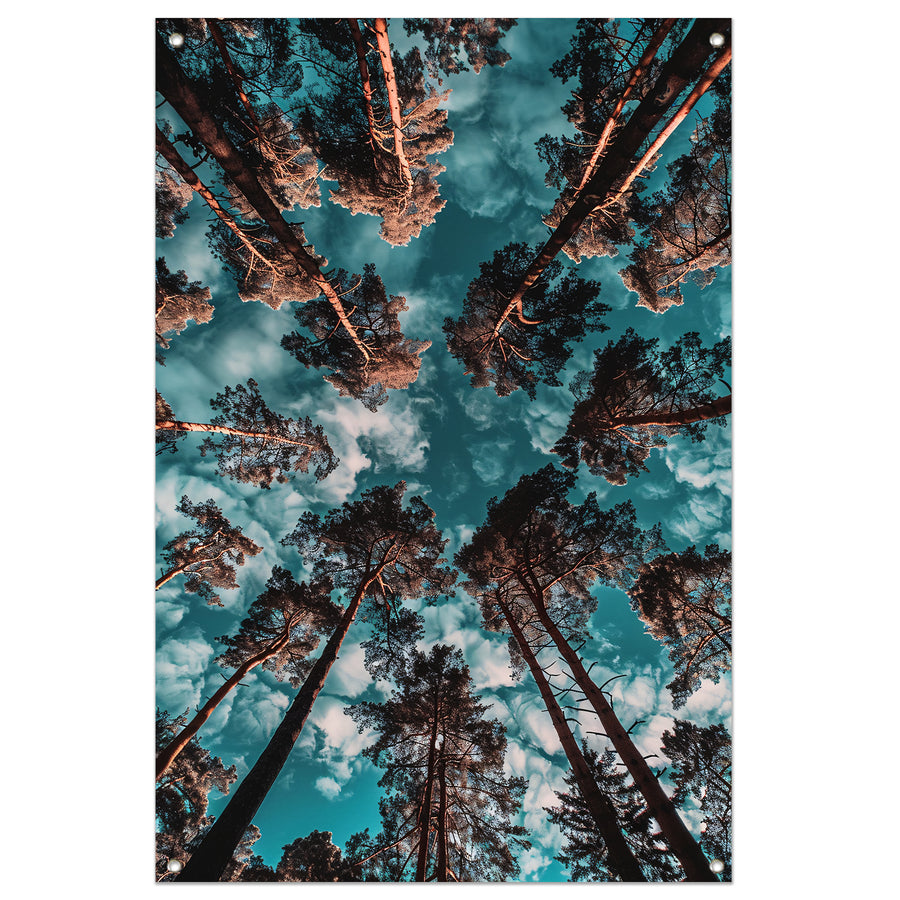 Hyperrealistische foto van bomen en lucht tuinposter