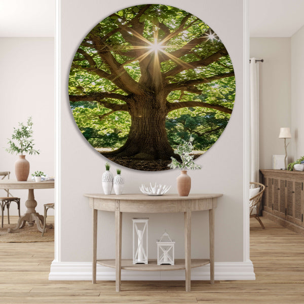 Zonnestralen door een majestueuze boom aluminium muurcirkel