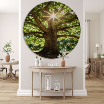 Zonnestralen door een majestueuze boom aluminium muurcirkel