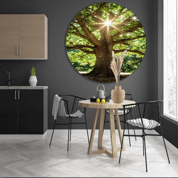 Zonnestralen door een majestueuze boom aluminium muurcirkel