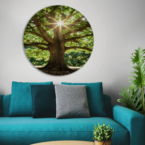 Zonnestralen door een majestueuze boom aluminium muurcirkel