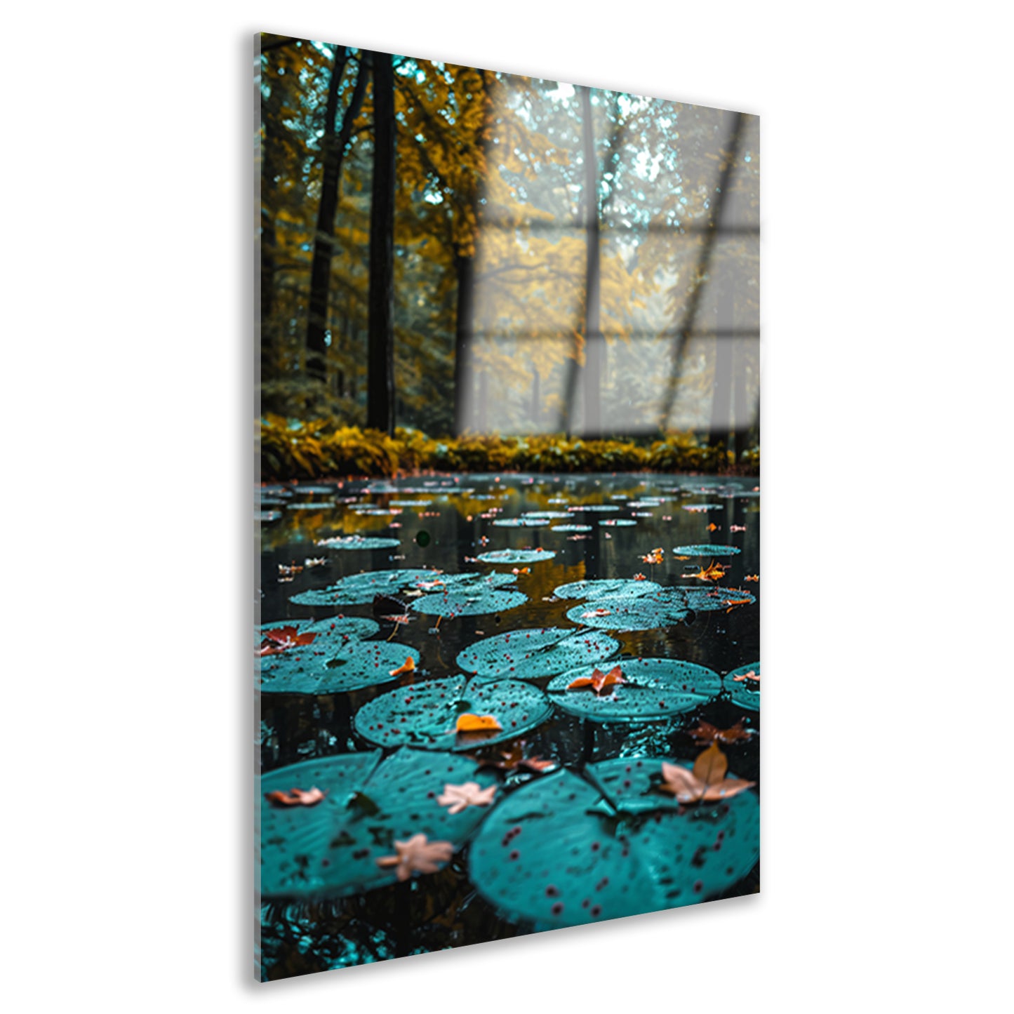 Herfstreflectie in een Vijver vol Waterlelies acrylglas