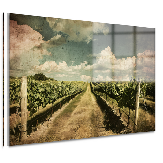 Wijngaardpad onder een dynamische wolkenhemel acrylglas