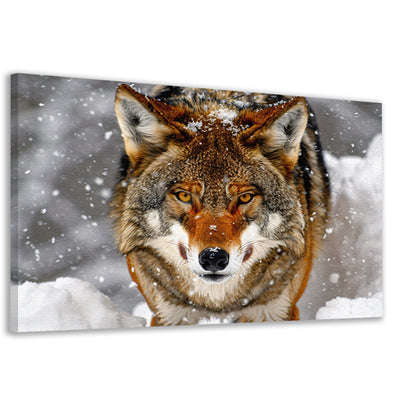 Close-up van een Wolf in de Sneeuw canvas