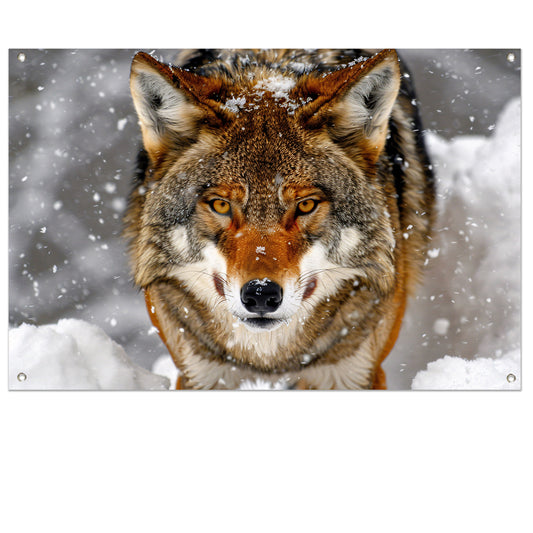 Close-up van een Wolf in de Sneeuw tuinposter