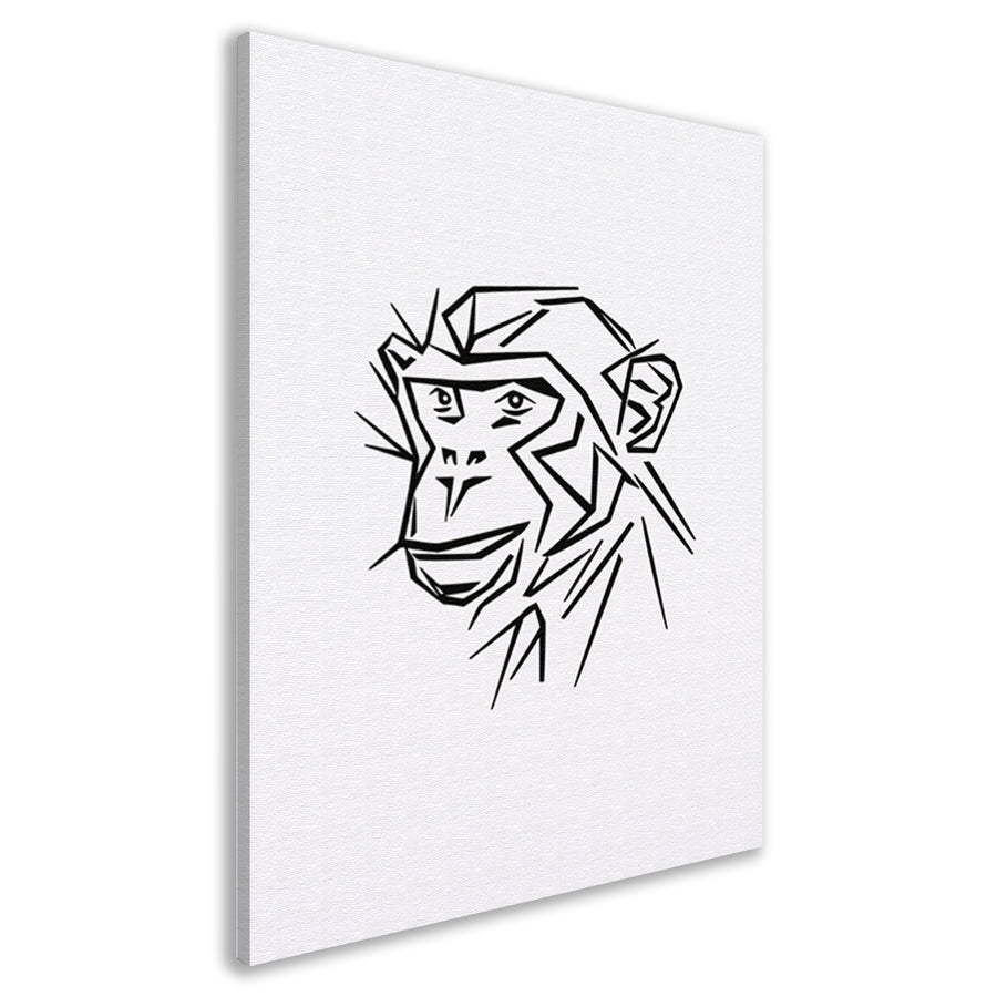 Strakke lijnen aap portret in zwart en wit canvas