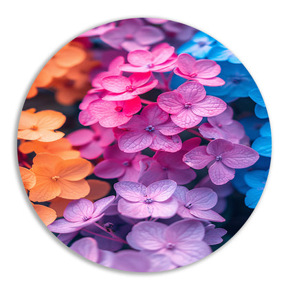 Kleurrijk Bloemenzee in Modern Jasje forex muurcirkel