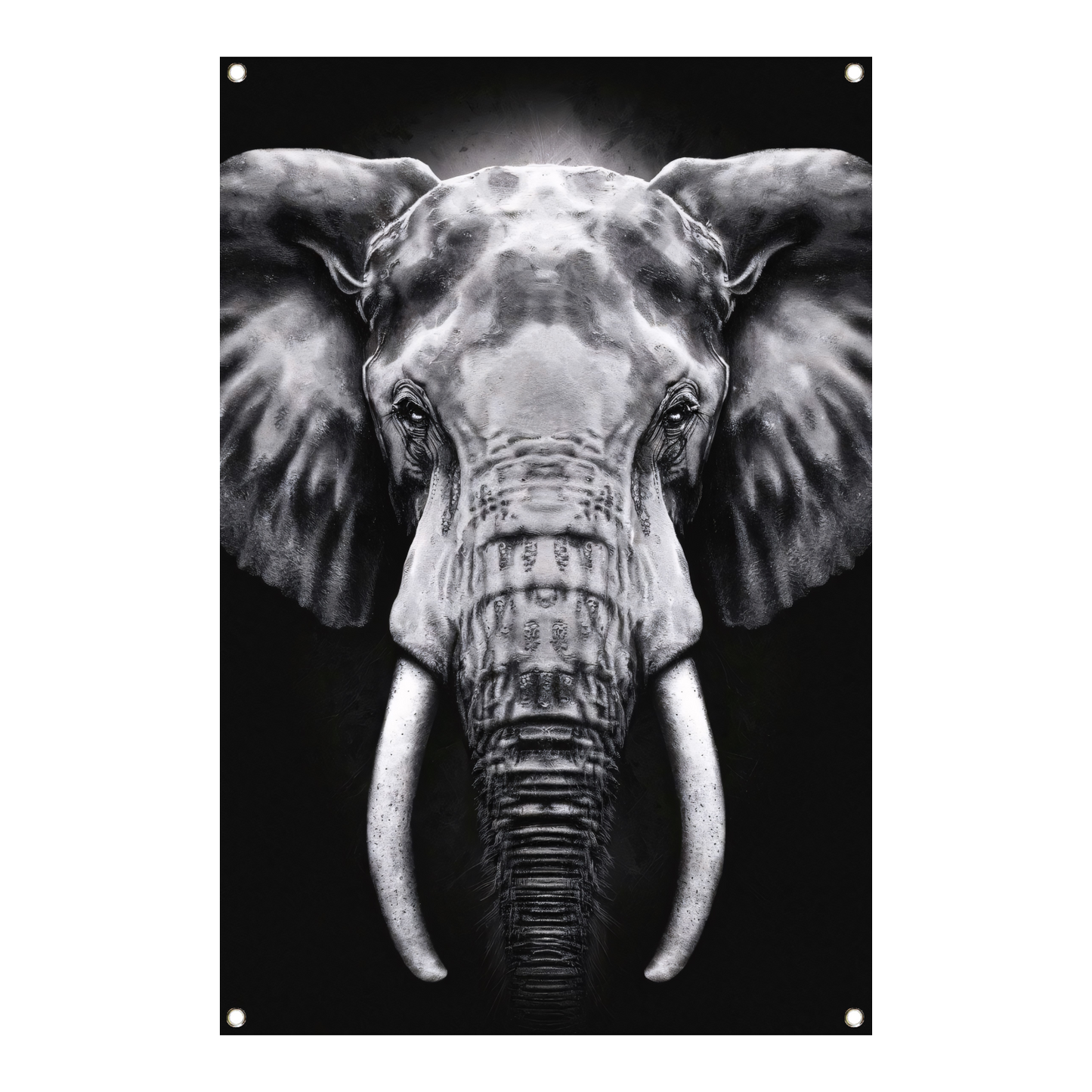 Olifant in monochroom zwart en wit tuinposter