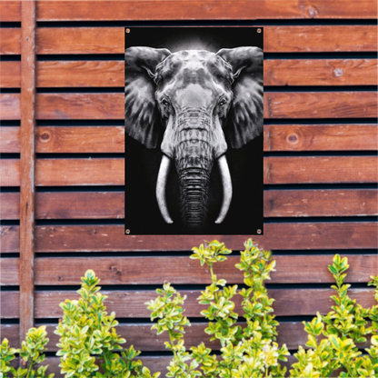 Olifant in monochroom zwart en wit tuinposter