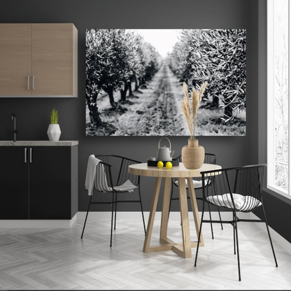 Olijfbomen onder maanlicht poster