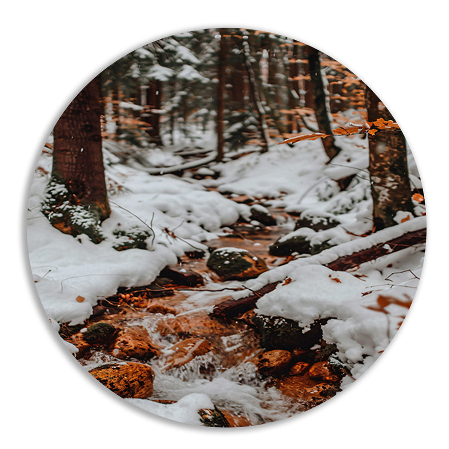 Bevroren Rivier in Winterbos forex muurcirkel