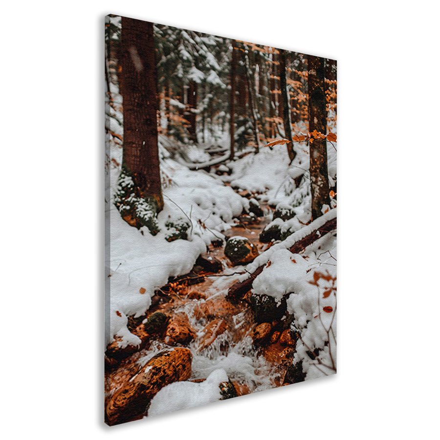 Bevroren Rivier in Winterbos canvas