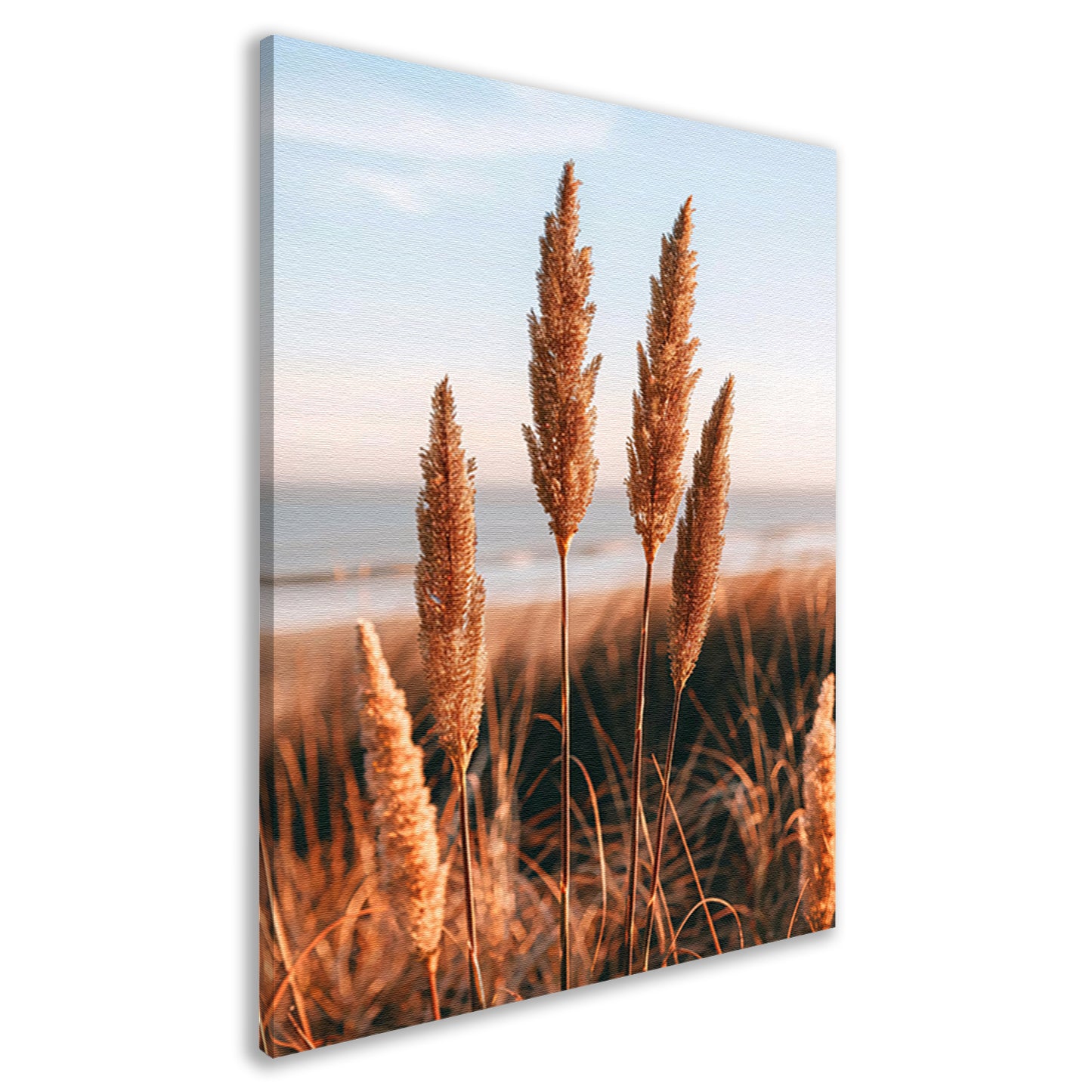 Gouden Grashalmen bij Zee in Zonsondergang canvas