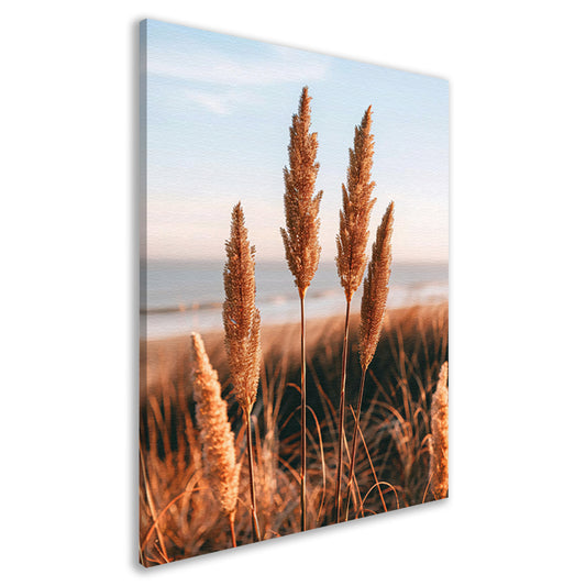 Gouden Grashalmen bij Zee in Zonsondergang canvas