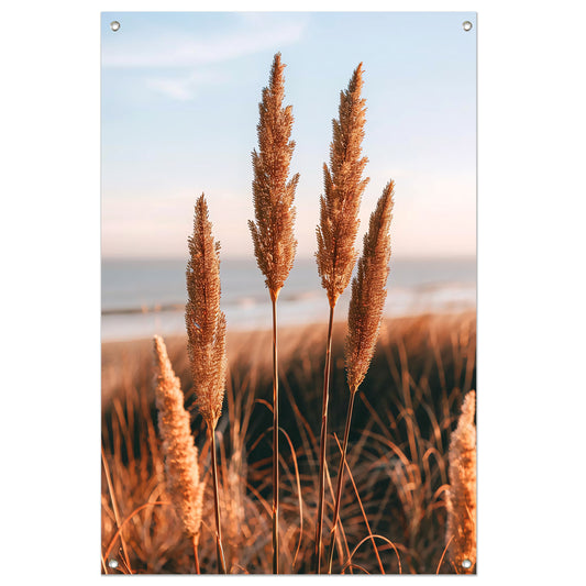 Gouden Grashalmen bij Zee in Zonsondergang tuinposter