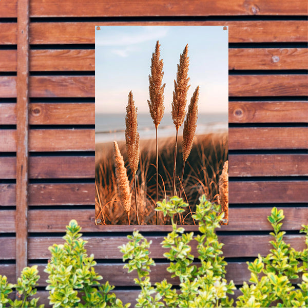 Gouden Grashalmen bij Zee in Zonsondergang tuinposter