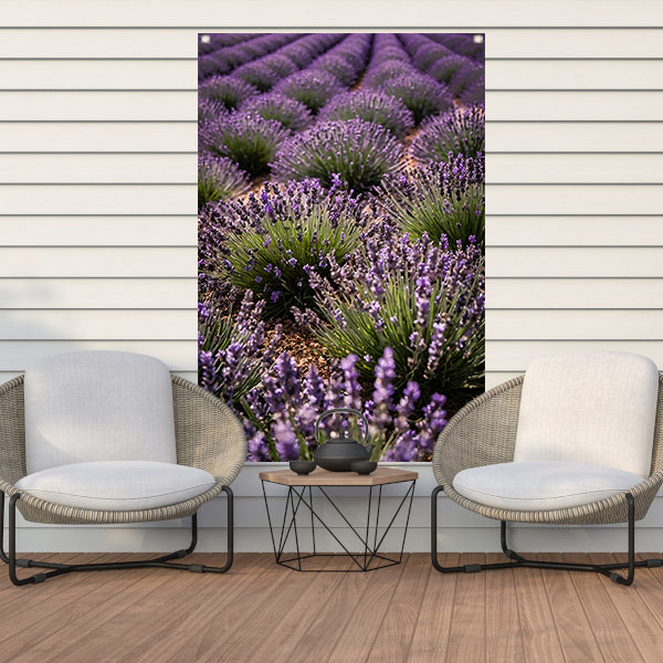 Prachtige lavendelvelden in volle bloei tuinposter