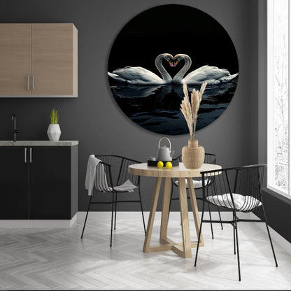 Twee zwanen in donkere reflectie forex muurcirkel