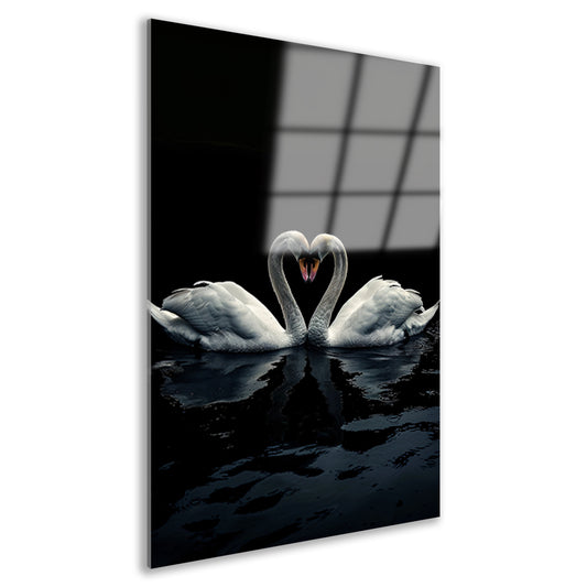 Twee zwanen in donkere reflectie acrylglas