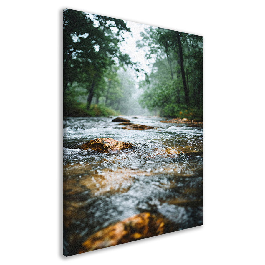 Monochrome foto van kabbelende rivier in bos canvas